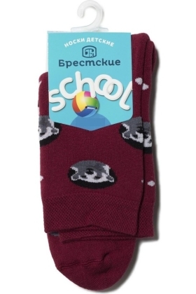 Носки детские Брестские School 3060 (871) махровые