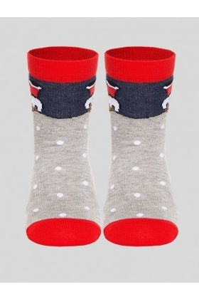 Носки детские Conte-kids Новогодние (305)