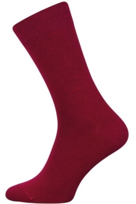 Носки мужские CHILI ELEGANCE 163-001 хлопковые