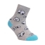 Носки детские Conte-kids TIP-TOP 5С-11СП (297)