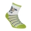 Носки детские Conte-kids TIP-TOP 7С-54СП (252) антискользящие