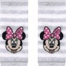Шкарпетки жіночі Conte Disney (343) короткі