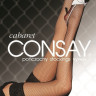 Панчохи жіночі Consay Cabaret