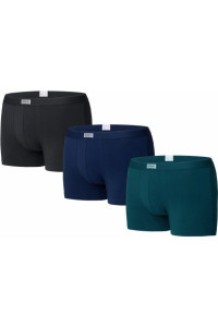 Труси чоловічі Diwari Basic MSH 700 шорти